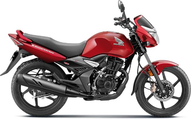 Picture of EcoRider Urban Lite E-Bike